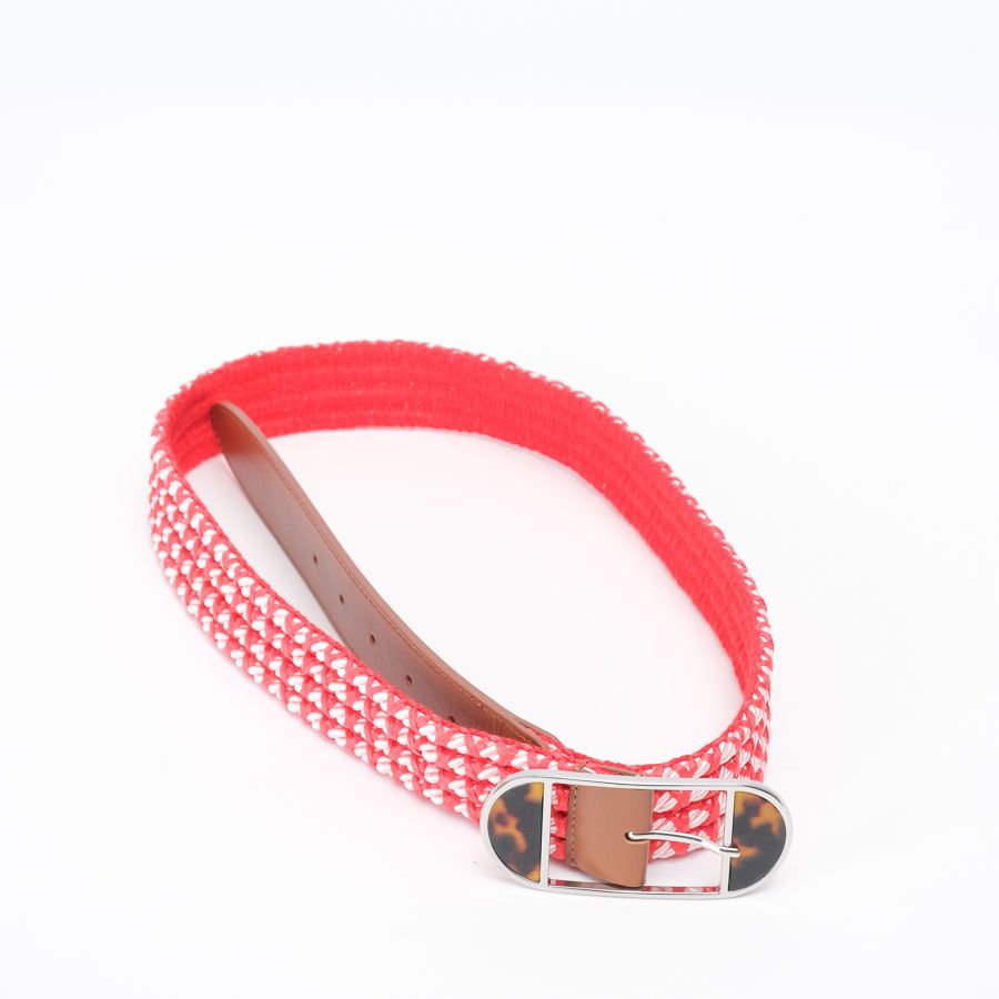 Max&Co. Vascolo Fuchsia Belt-Braces B2941